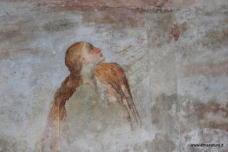 Madonna dei Miracoli